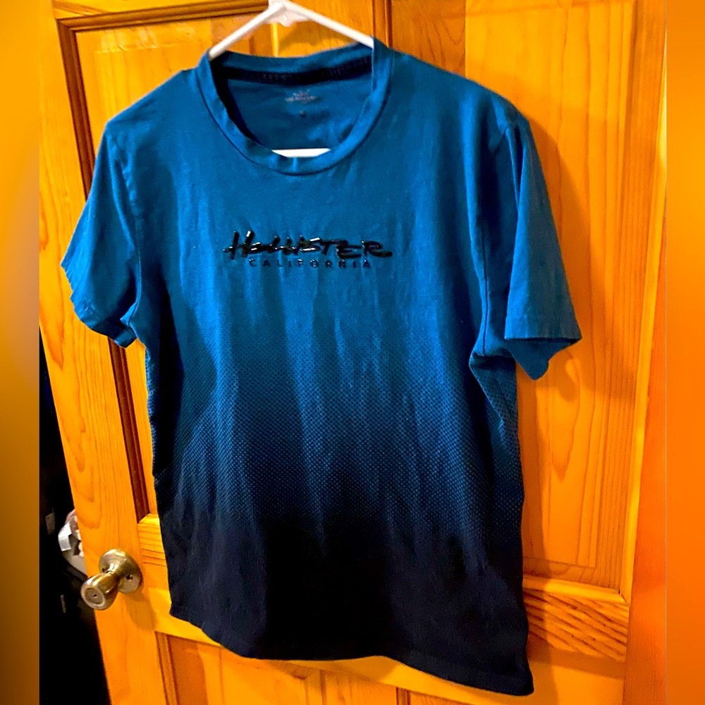 Mens Hollister logo shirt